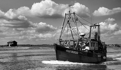 无限发短信验证码软件