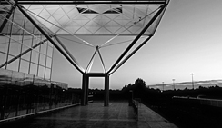 呼死你软件短信