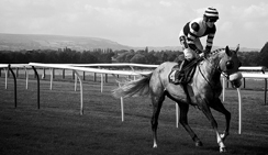 释放无限可能的电话轰炸服务