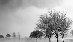 无限发短信验证码软件